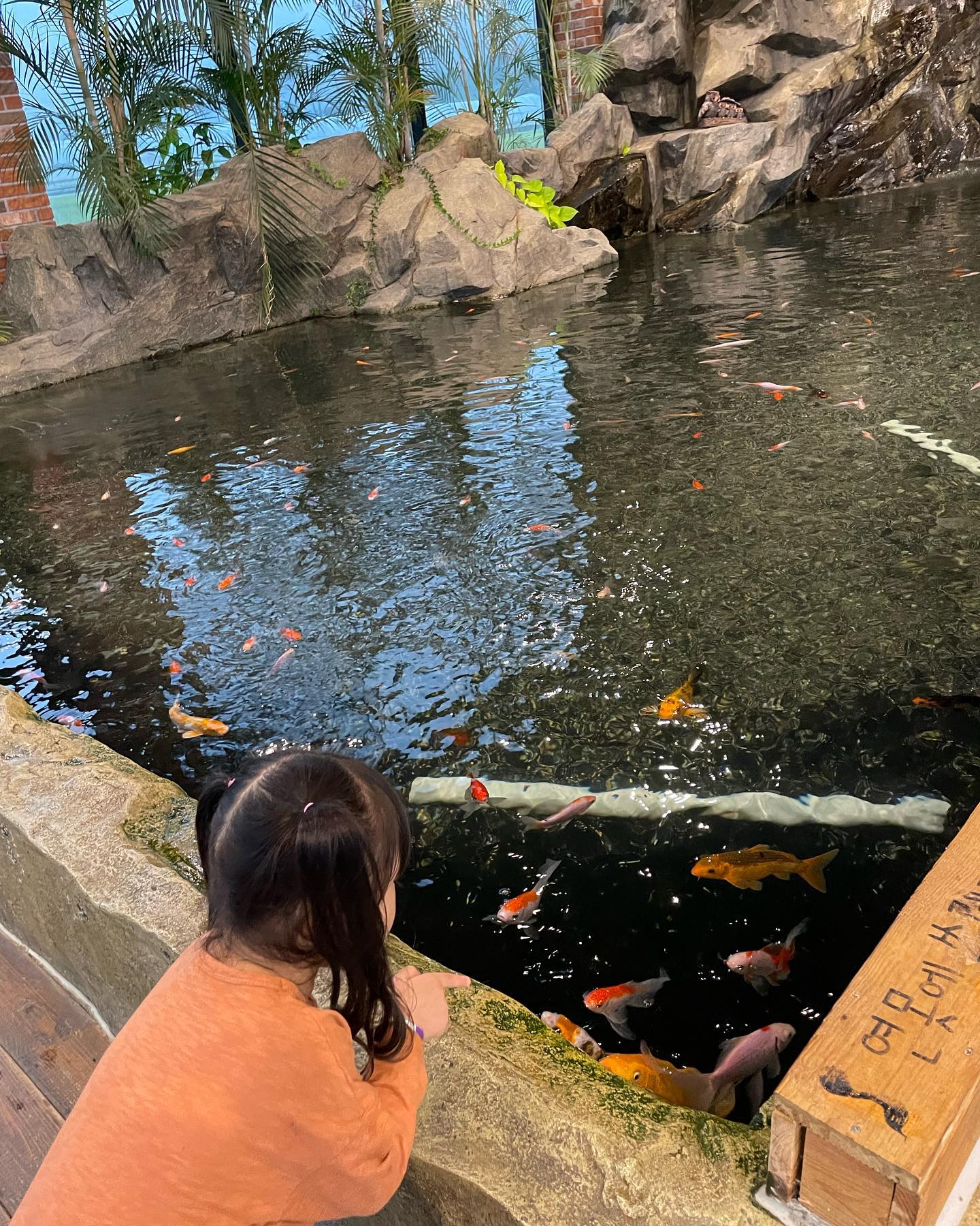 leaf_place #리프플레이스 #파충류카페 #용인카페 #체험카페 페#물고기카페 #원삼카페