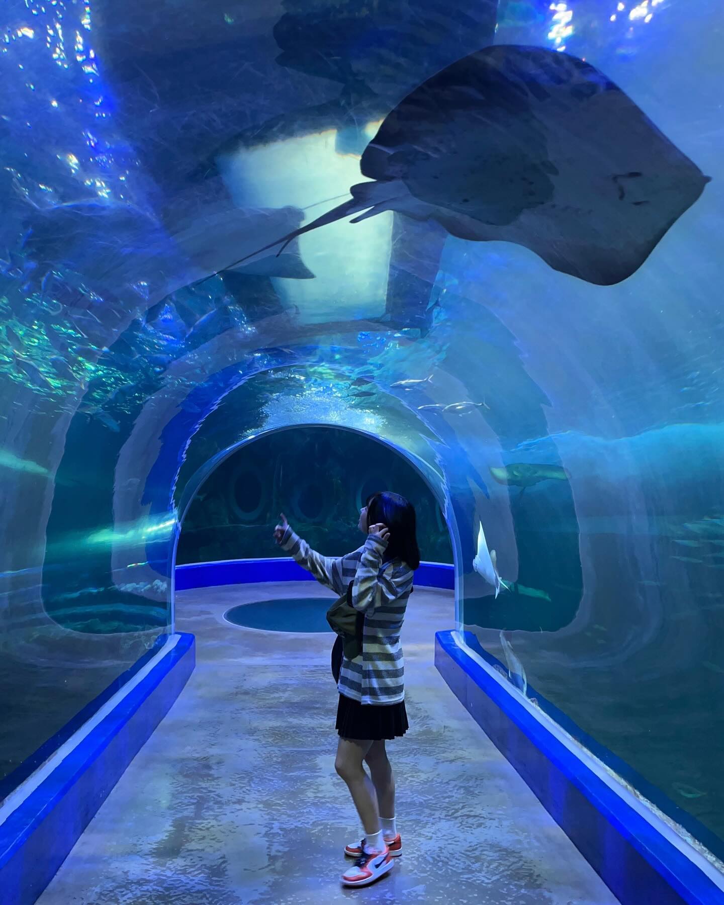 #여수아쿠아플라넷 🌊🐋