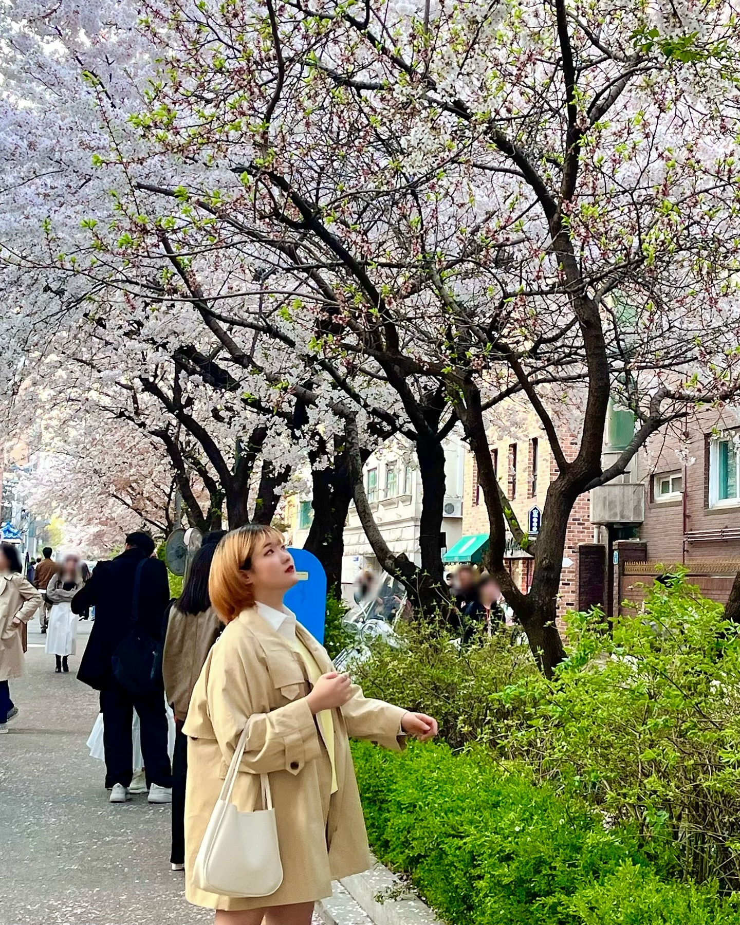 🌸