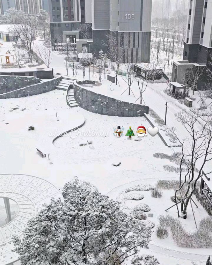 #화이트크리스마스☃️ 
올해 크리스마스는 집에서 영화도 보고 맛있는 것도 먹고
눈사람도 만들고☃️🎄🎅🤍🫶♥️
아빠가 다니방 조명도 달아주고 따뜻한 크리스마스❄️❄️