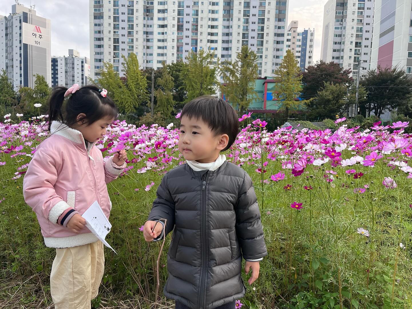 #떠떠떠남매

아파트 옆에 공원에 너무 이쁘게 핀 코스모스🌸

꽃구경도 하고, 그네도 타고, 바람개비도 구경하고, 집으로 가는 햇님이랑 인사도 하고😎

서율이 친구들도 만나서 서후도 누나들 형아들 쫓아서 엄청 뛰어다녔어요!!

주말마다 어딜가야하나 고민했는데 집옆에도 이리 좋은공원을 두고 왜 고민한건가…🥹

.
.
.
#52개월아기 #30개월아기 #12개월아기 #선학동 #선학경기장산책길 #코스모스