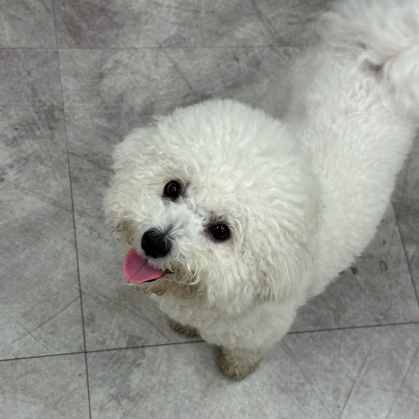 엄마 왜우러 ? ㅎㅎㅎㅎㅎ
나 신발 신었어 😂