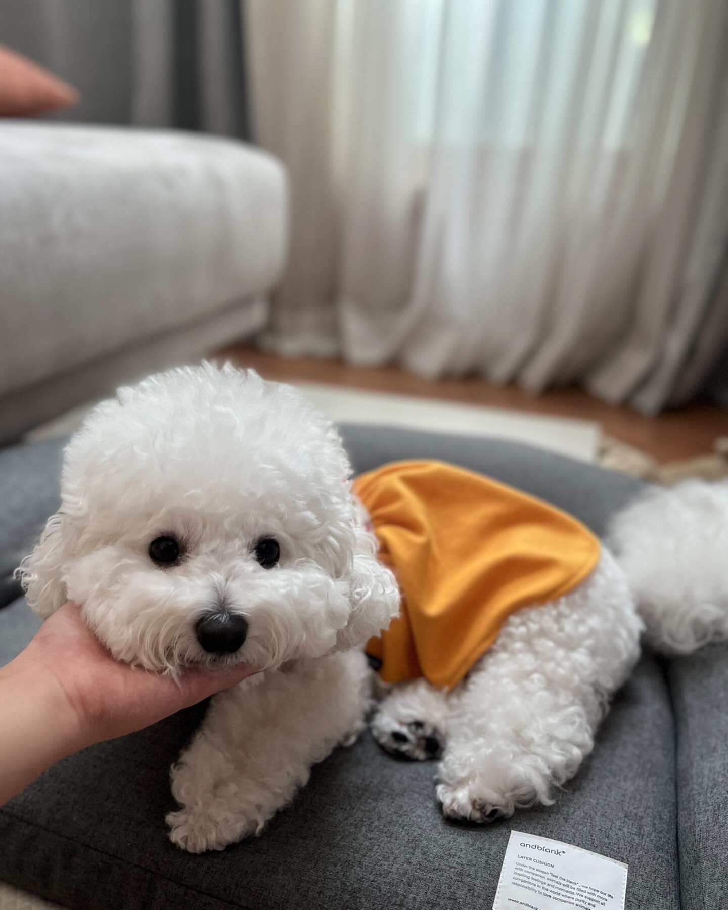 즐추 🧡 
오랜만에 한복입고 찰칵📸