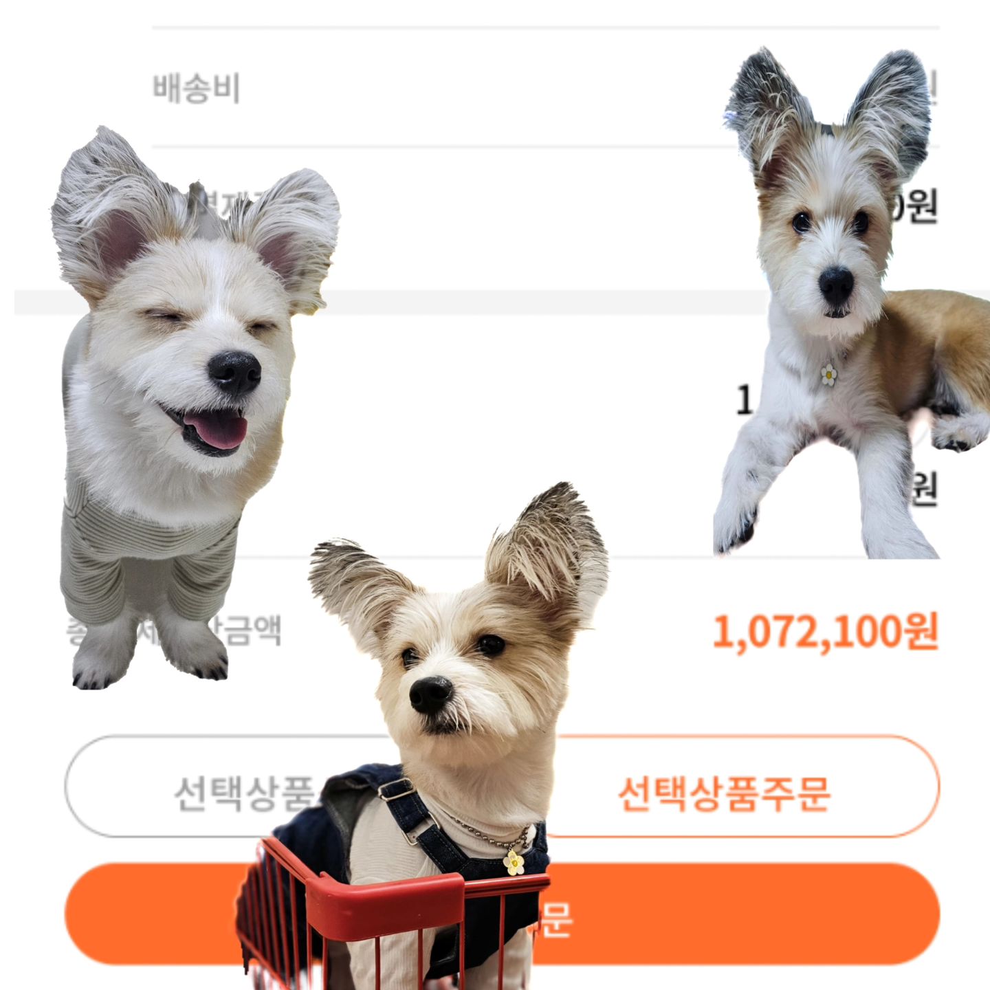 #바잇미 #바잇미장바구니이벤트 
장바구니안에 바라는 어때요😘
