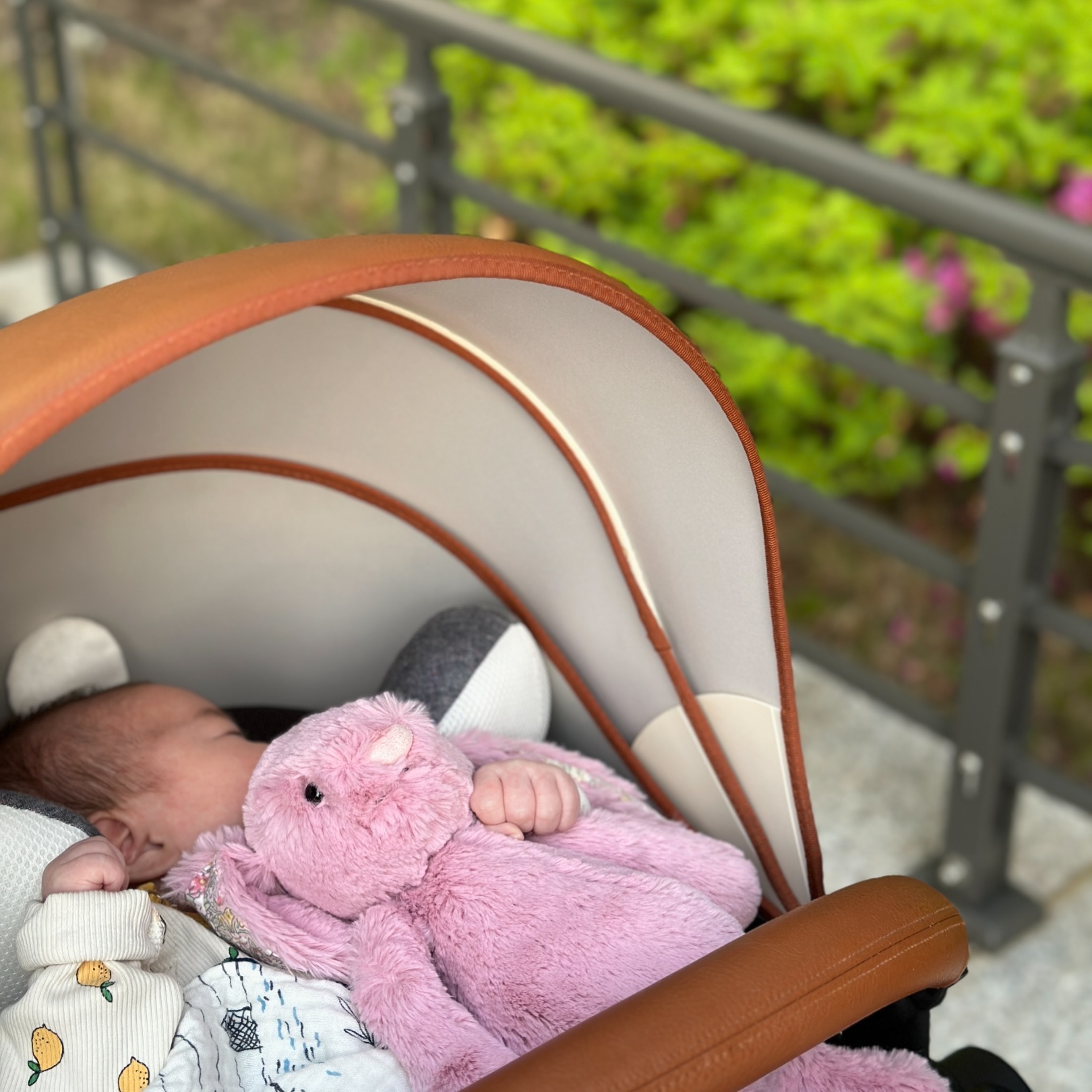 손에 꼭 쥐고 산책 🐰💓