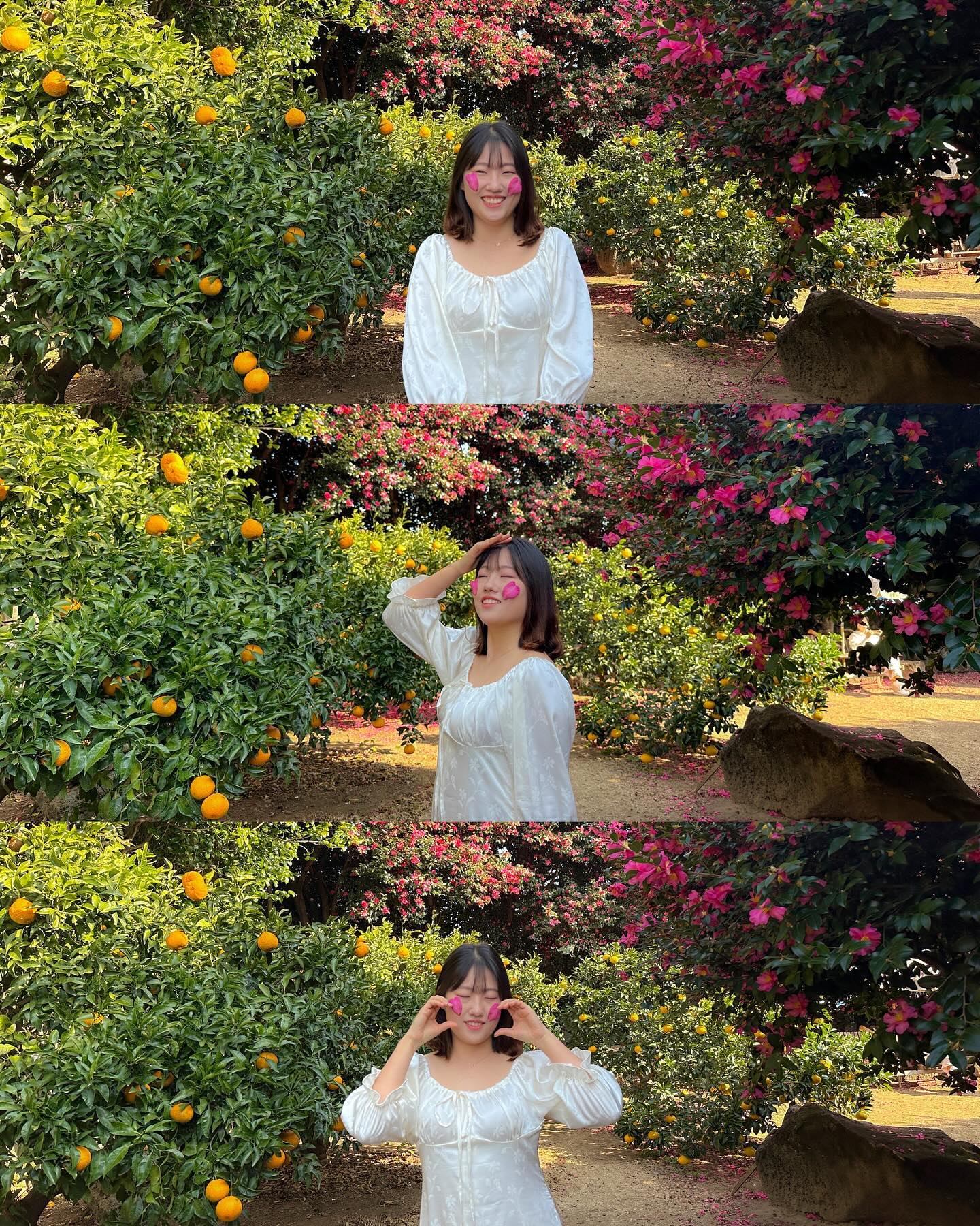 삼천원의 행복..💓🌺
맘에 드는 사진이 너무 많아서 
열장 겨우 골라서 사진까지 올리기-🩷

📍동박낭
-제주특별자치도 서귀포시 남원읍 태위로 275-2

🕰️운영, 10:30~17:00
🚘주차장 있으나 협소한 편
💰입장료 3,000원 (카드가능, 계좌이체가능)
🏷️셀프로 음료를 만들어 먹는 곳이니 재밌는 경험도 가능-!
🏃뚜벅이들도 쉽게 방문할 수 있는 곳이랍니다- 버스정류장과 2분 거리랍니다=)

#주말여행자현아 #현아의발걸음 #동박낭 #서귀포동백