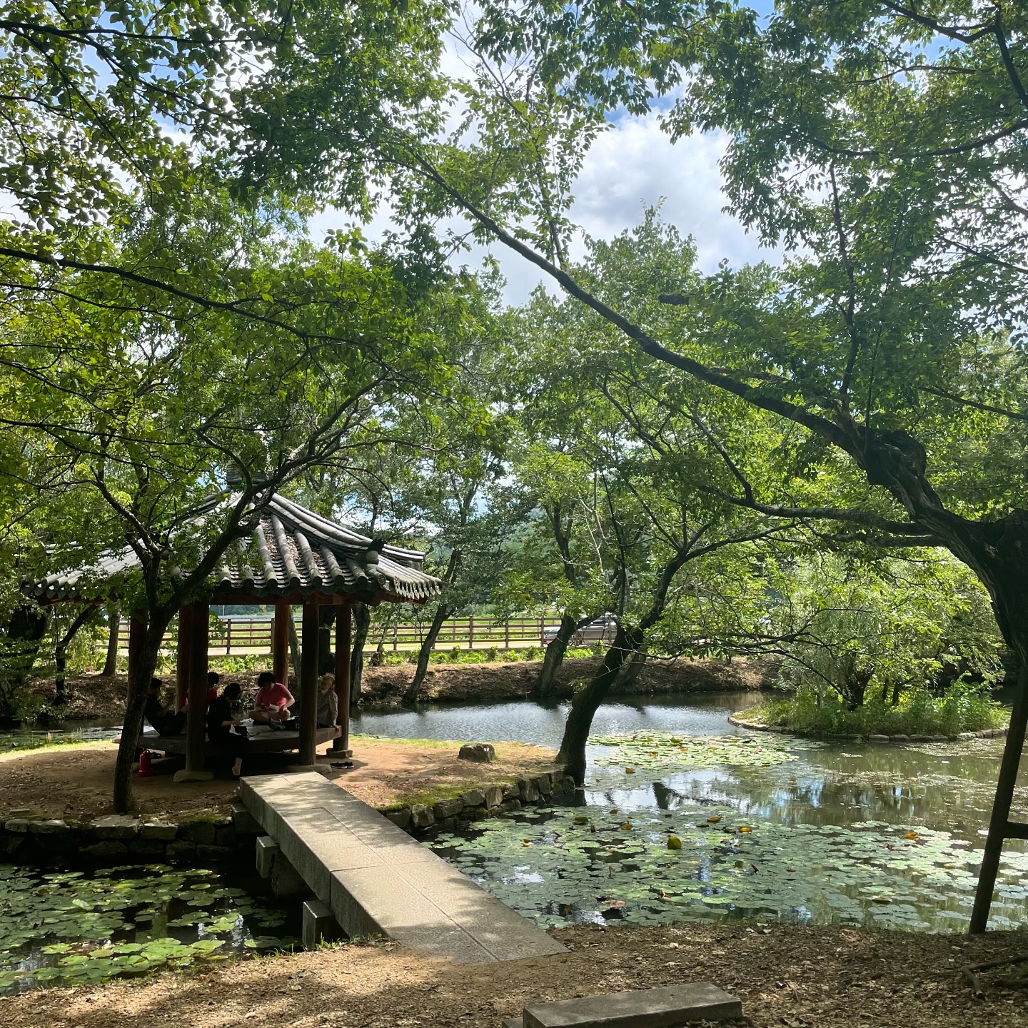 이제 가을이 오긴오나보다🍃

#가을 #선선한바람 #가을풍경