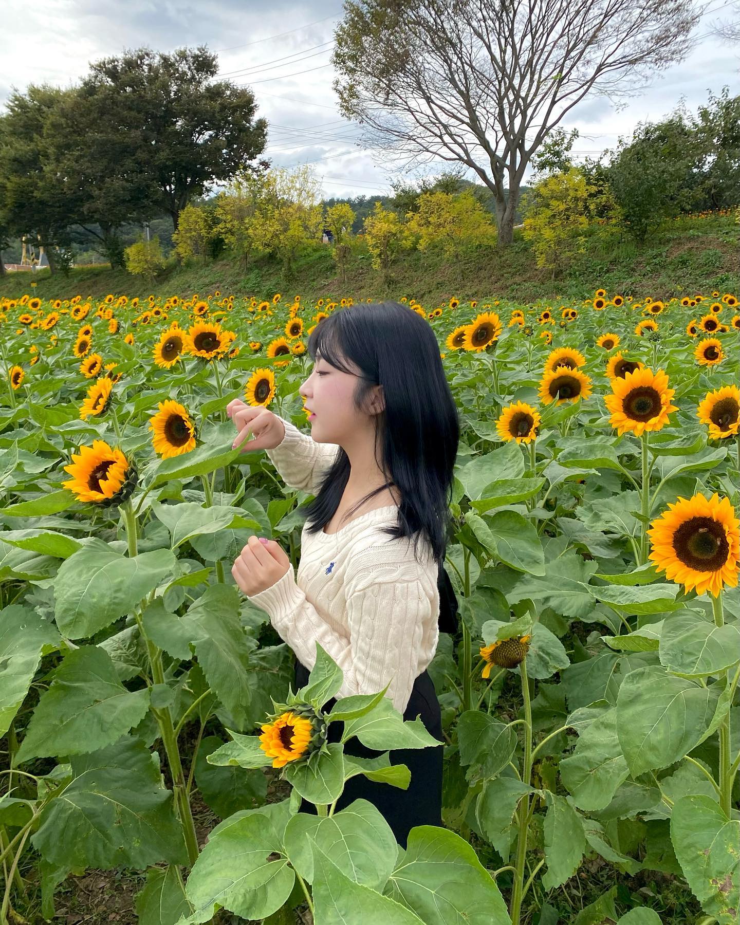 가을 꽃이 피었습니다 ✿ ✿
