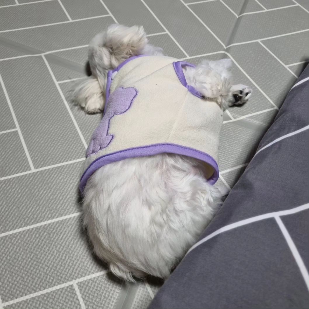 토실토실 아가 모찌

#workout #working #dog #puppy #maltese #malteselovers #dailylife #winterfashion #ootd #korea