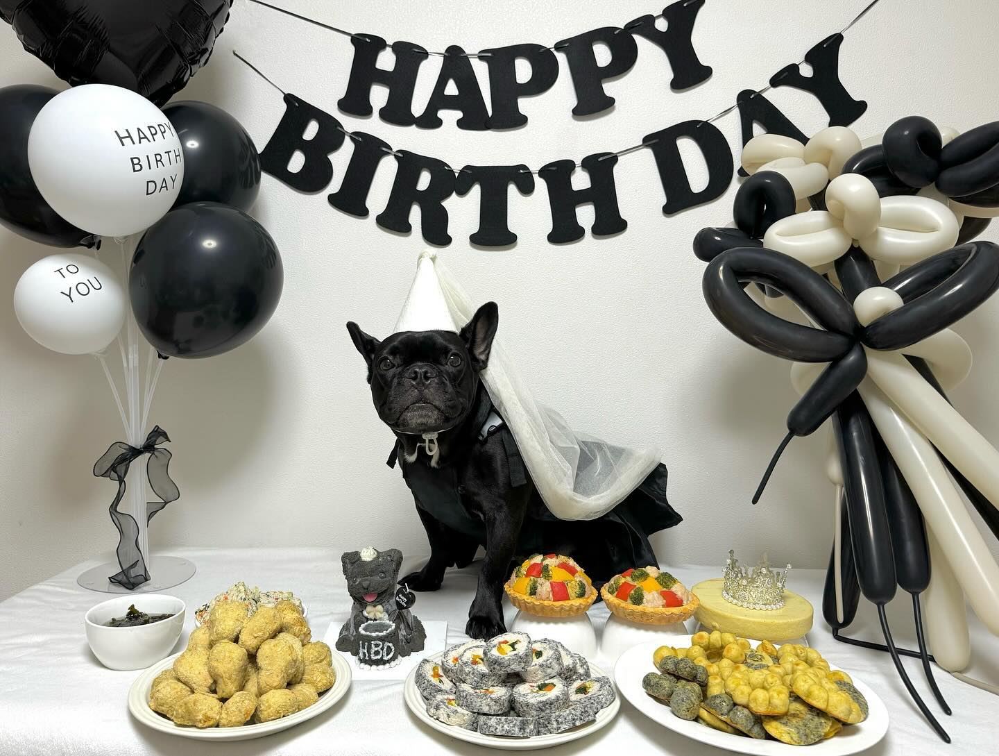 우리 맥이 4살 생일 축하해🤍
큰거 안 바랄게 항상 행복하구 건강하자ㅎ 사랑해🖤🤍
(친구들 축하해줘서 고마웡😭🤍)