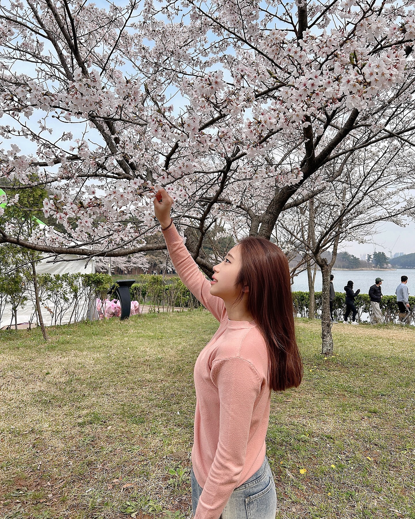 콘텐츠