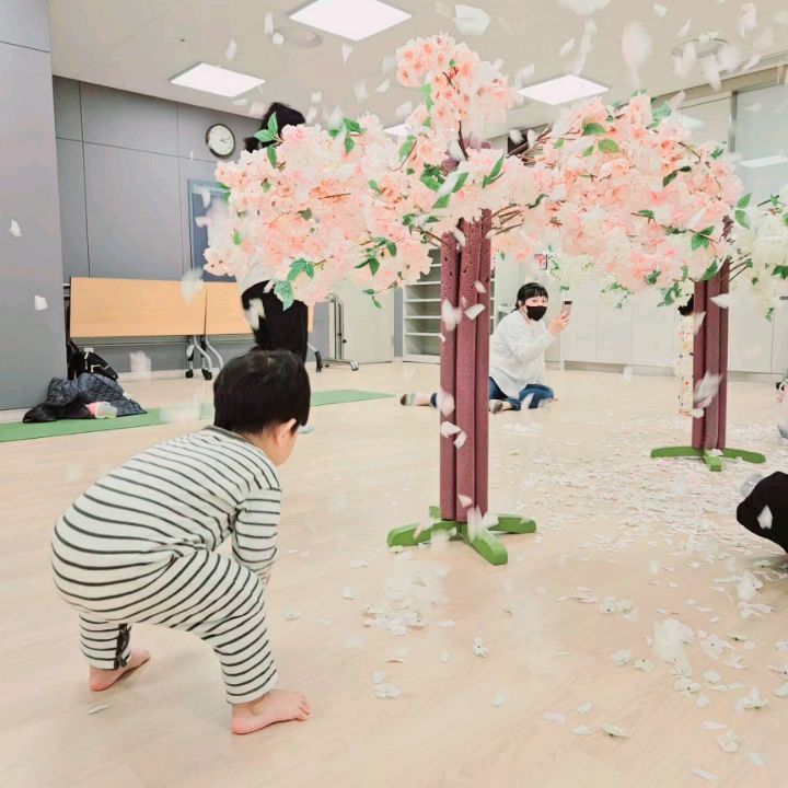 ☆소리주의☆

온몸으로 벚꽃놀이
꽃비가 참으로 이쁘구나 😍
오늘수업도 잘놀고 와줘서 고마워🫶

#포시즌플레이 #포시즌플레이오감놀이 #나랑노랑 #나랑노랑오감놀이 #문화센터 #문센데이 #봄학기 #벚꽃놀이 #지율이인생두번째봄 #두번째봄 #🌸