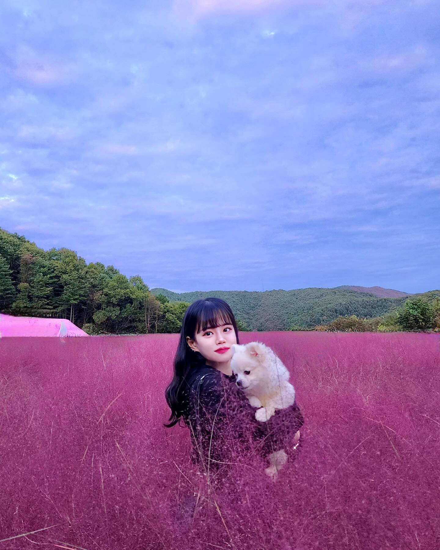 옐꼬미주누💓💓
#핑크뮬리 #허브아일랜드 #포천