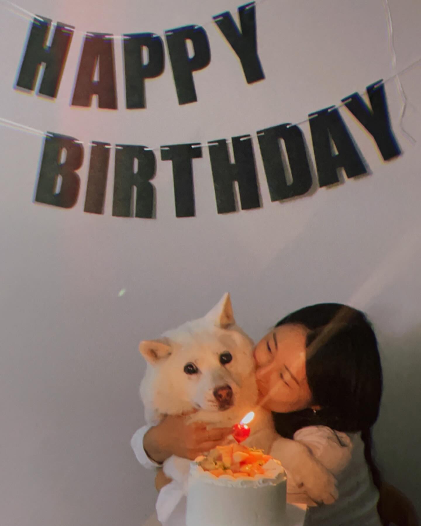 .
꼬순내 가득 생파🖤 
루머니표 홈메이드 마라탕과 카레 감샤리🫶🏻
댕댕이들 복날 특식도 센스 만쪔🐾

#오랜만에완전체
#심야식당맛집
#복숭아케이크🍑
#살구생일아님주의