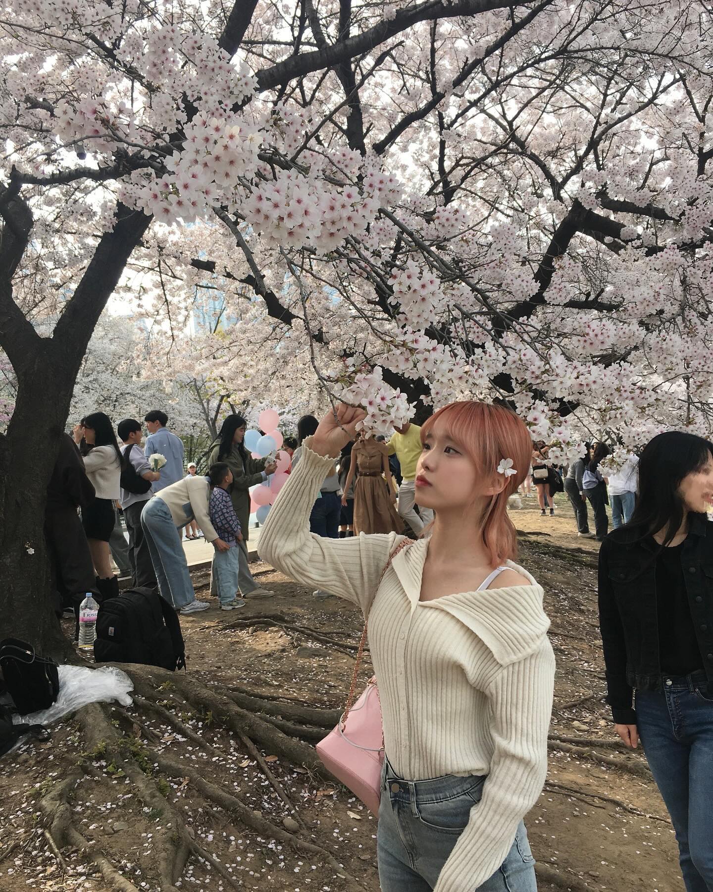 콘텐츠