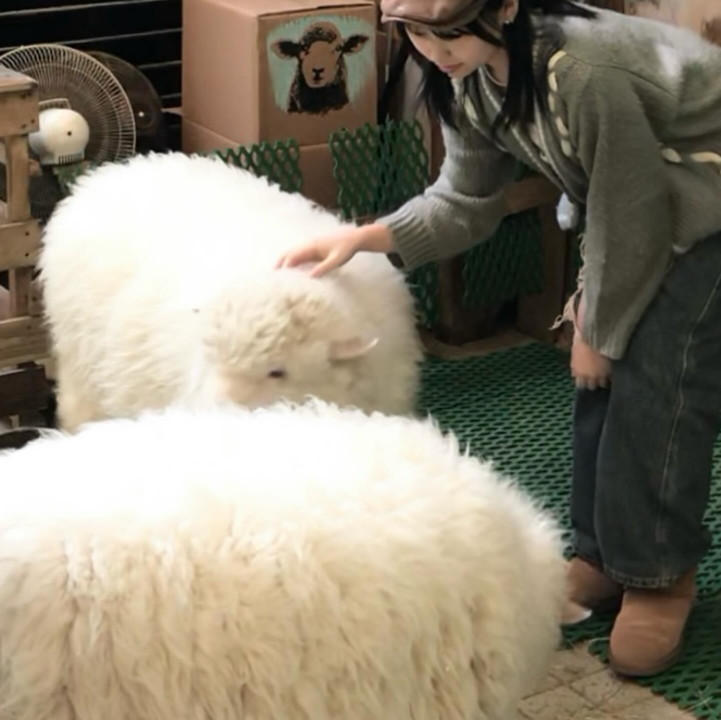 콘텐츠