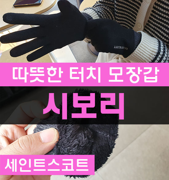 여성장갑 크리스마스선물추천 세인트스코트