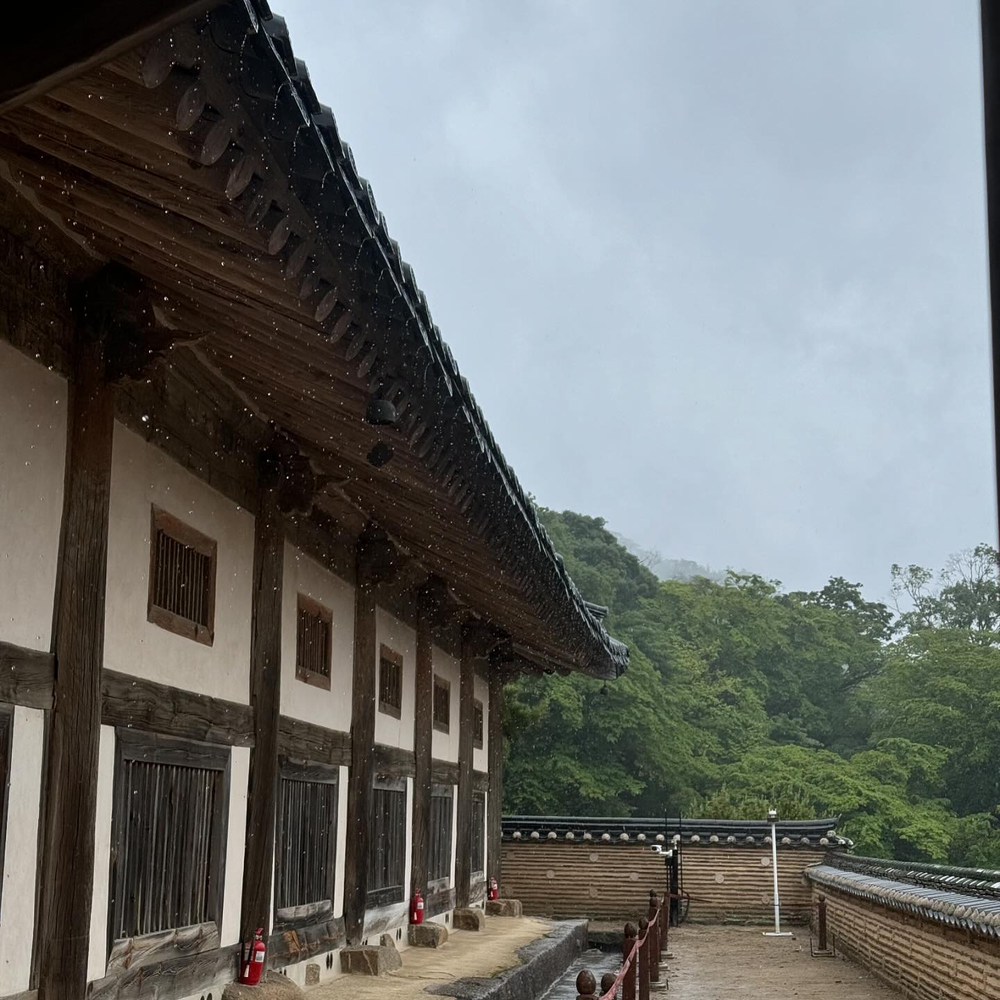 #해인사
엄마가 요즘 한 달에 한 번씩
동네 친구분들이랑 같이
아빠네 성당 산악회를 따라서
둘레길 다녀오시는 걸 좋아하시는데

요번에 합천 해인사가 있는 산을 가신다길래
선미랑 같이 따라갔다옴🏃‍♀️💨

중딩 때 잠깐 성당을 다녔었지만
성당 관련 행사에 참석해본 적 한 번도 없었는데 
한참 후에야 내가 관심있던 절에 간다는 말에 
얼레벌레 따라갔다 온 게 레전드ㅋ

비가 와서 좀 추웠지만 그만큼 운치 있었음
다음엔 맑은 날에 팔만대장경 해설 신청해서 또 와야지🥰

.
.
.
#일상 #일상스타그램 #99 #스물여섯 #봄만스물여섯 #⛰️ #산악회 #둘레길 #합천 #해인사 #팔만대장경 #가야산 #가야산국립공원 #국립공원 #🪷 #나들이 #🍱 #막걸리 #합천막걸리 #🍶