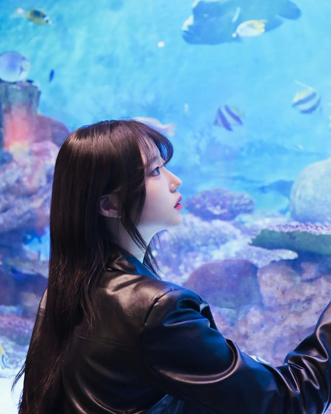 🐳

#아쿠아리움 #모델 #스냅 #스맵모델 #아쿠아리움🐳 #아쿠아리움촬영 #04