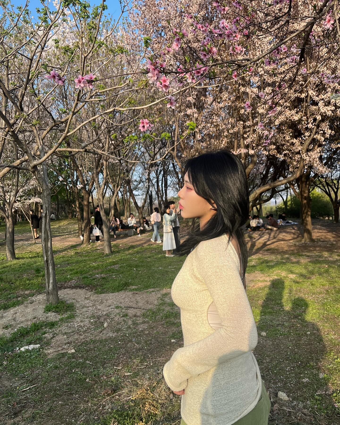 🌸