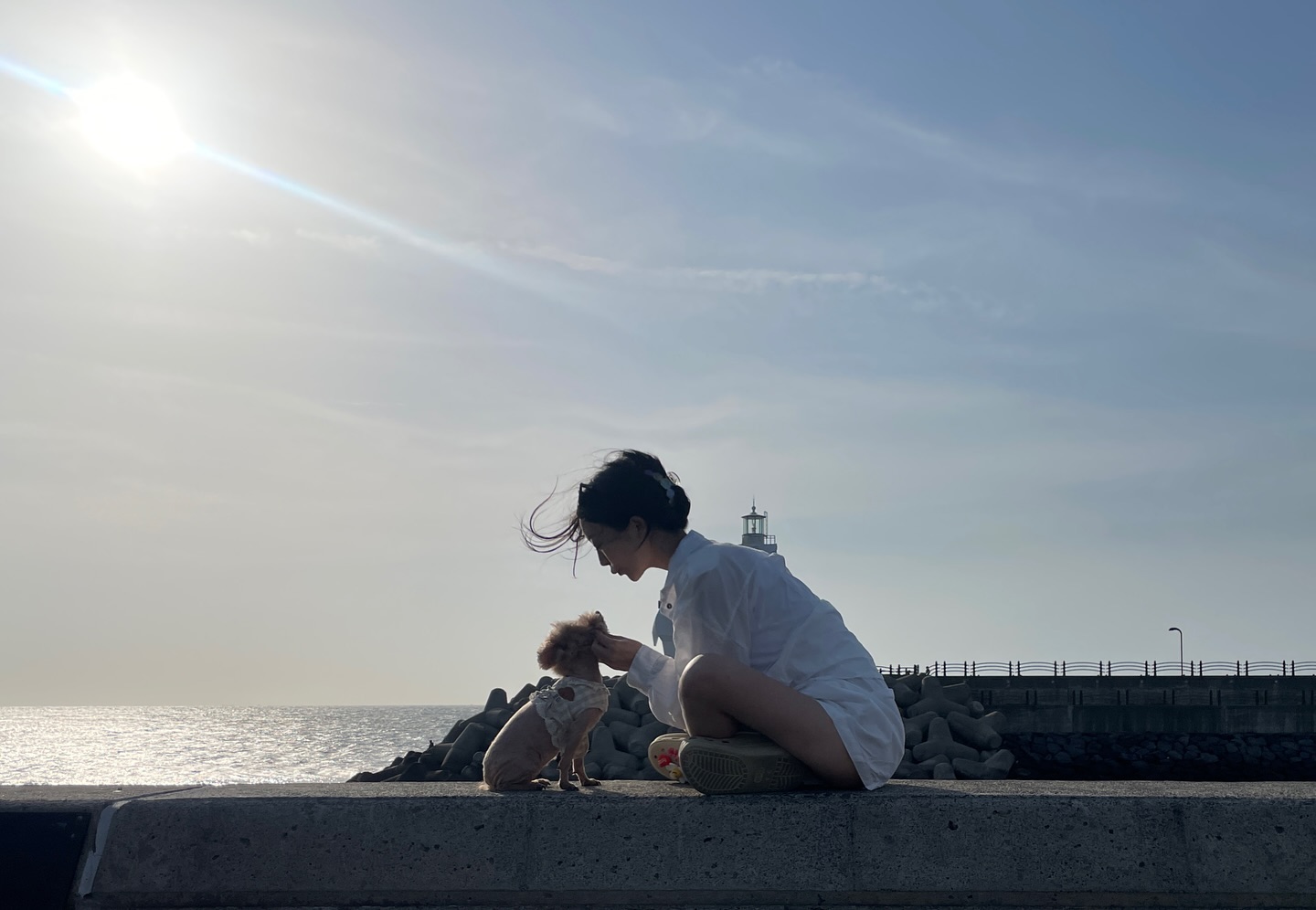 꼬미랑 나랑 같이 지내온지 벌써 14년째 ♡⃛
10살이 되던 해부터 ‘엄마랑 딱 10년만 더 놀자’ 했는데 
진짜 진짜 진짜로 엄마랑 딱 10년만 더 놀자! ❤️
아직 어디가도 다 아가로 보고 너 너무 팔팔해서 10년은 더 거뜬할거같아
예전부터 늘 내 눈물버튼이였던 우리 꼬미
진짜 늘 미안하고 고맙고 사랑해 진짜 10년만 더 놀자🥳
#건강하자 #아프지만마 #부탁해 #사랑해 ❤️❤️❤️❤️