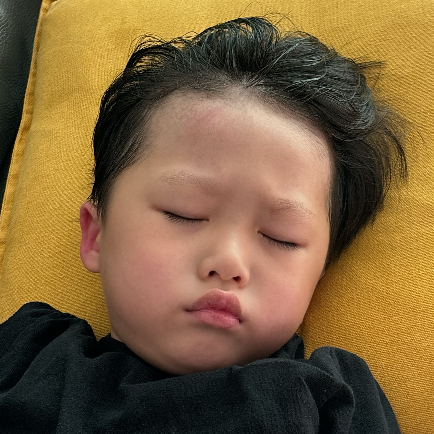 힘든 유치원생활
어제 쉬고 가니 더 힘들겠지....
그나저나 엄마는 오늘 밤 끝났네 자유따위....

#아둘맘 #킴스베리육아일기 #육아일상 #유치원 #유치원생활