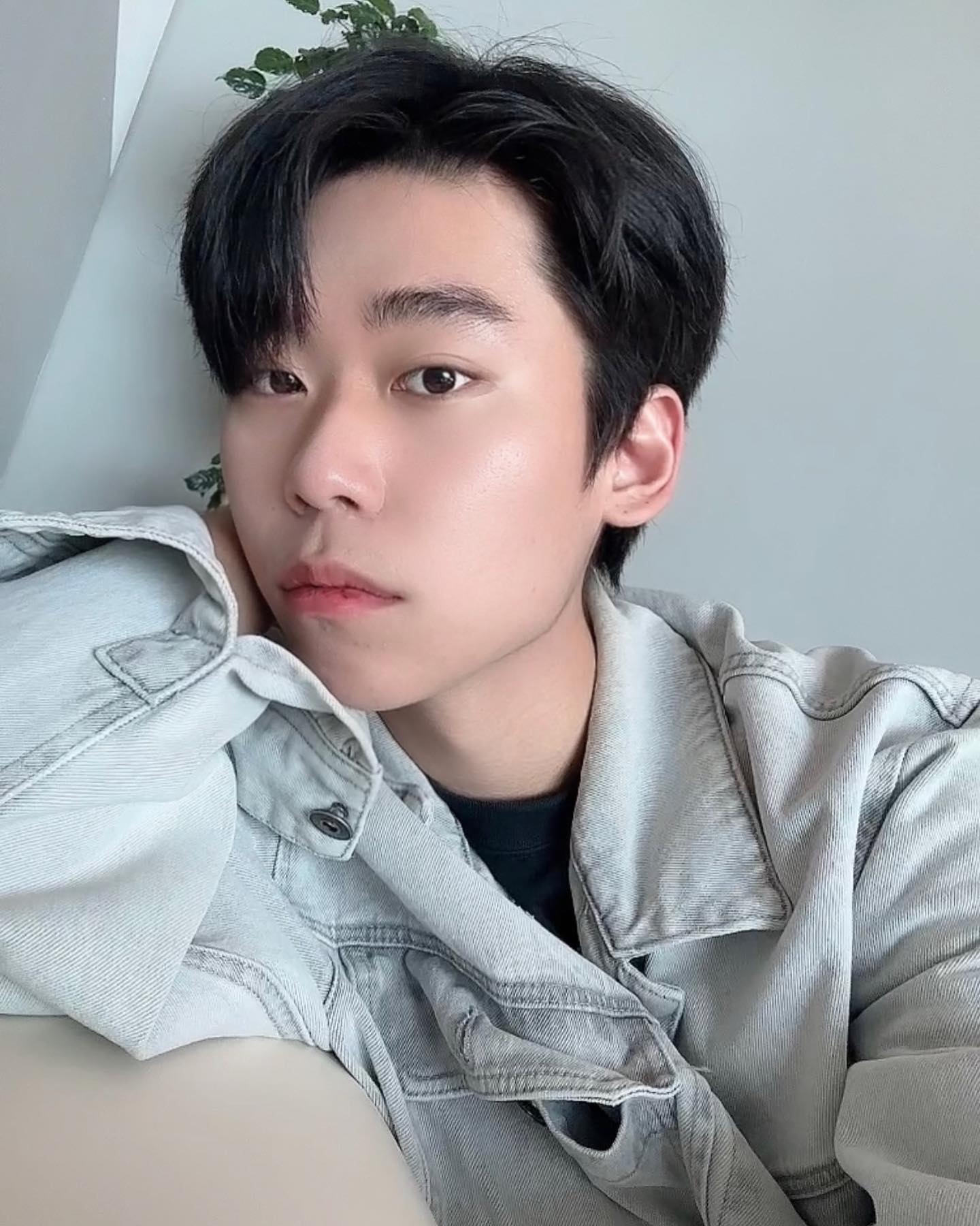 콘텐츠
