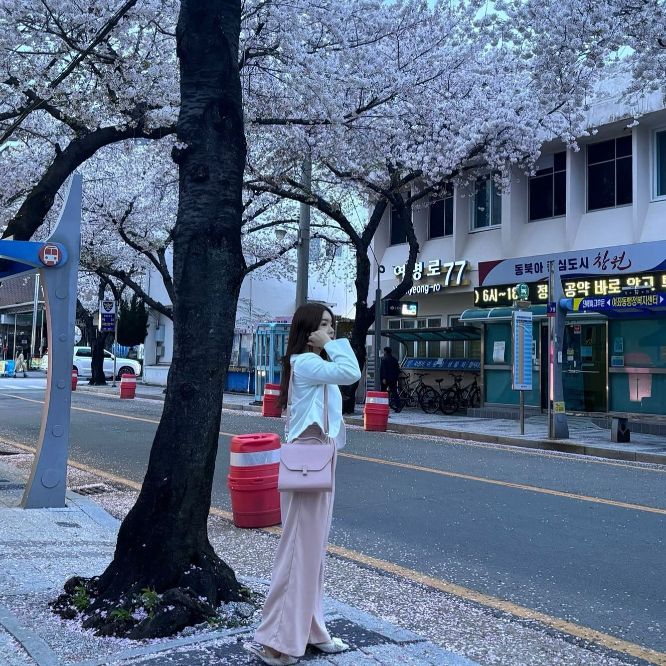 벚꽃놀이 행복했다