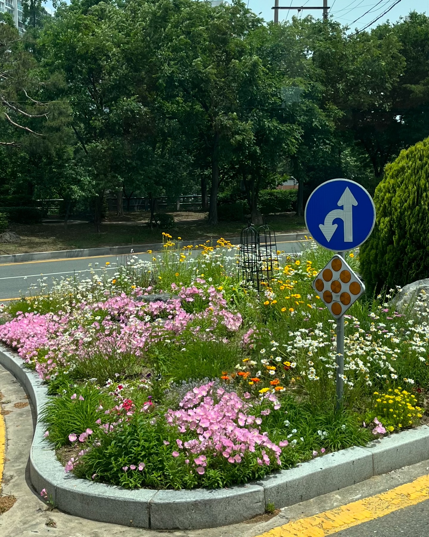 콘텐츠