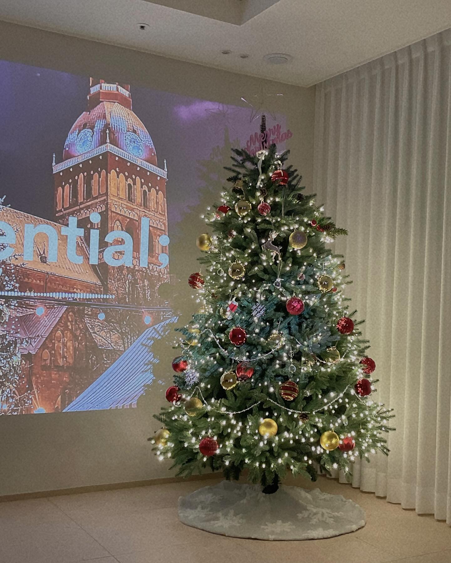 D-6🎄