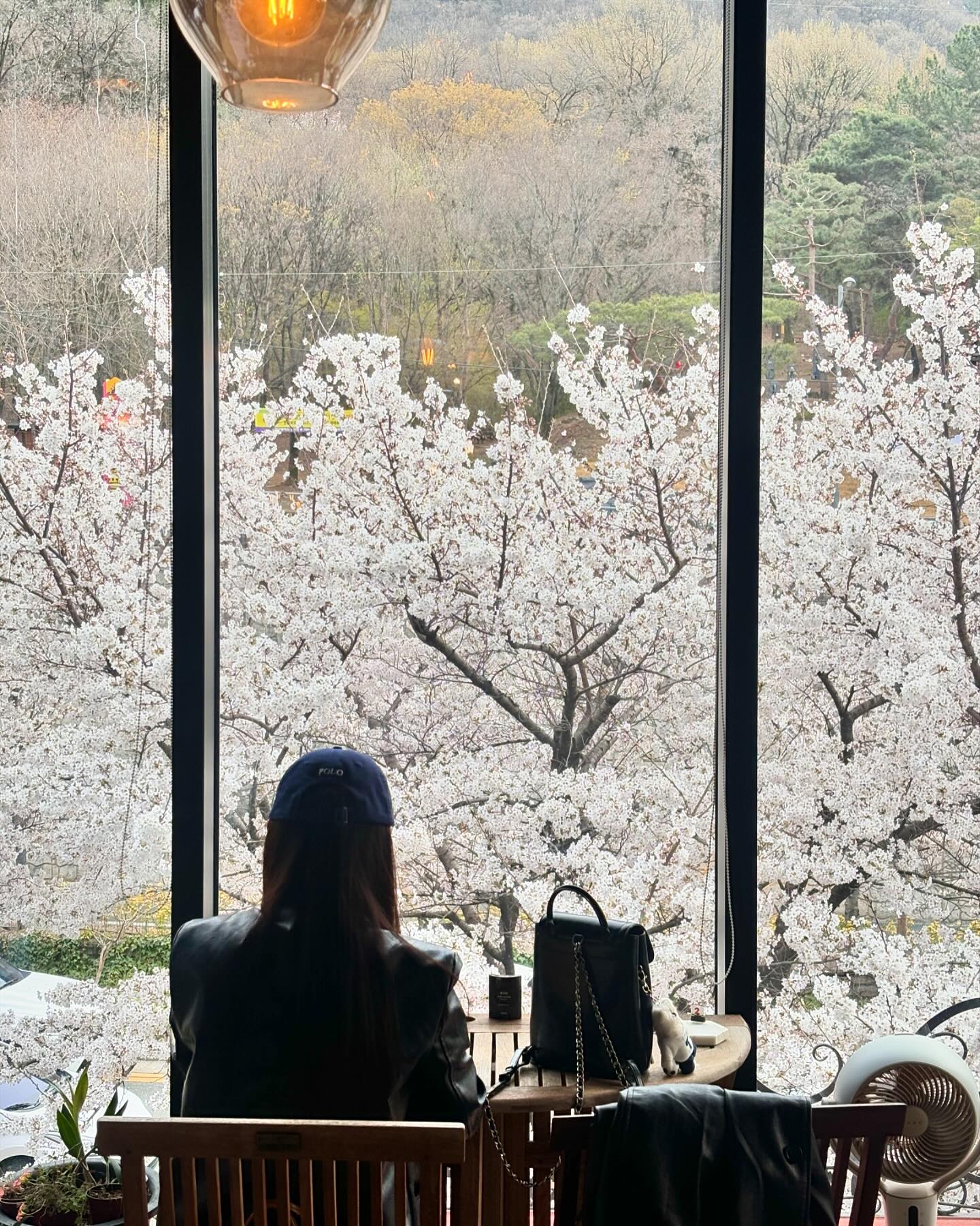 .
잘 놀고 잘 먹고 잘 마셨던 봄날 
그리고 벚꽃🌸🌸🌸

#봄기록