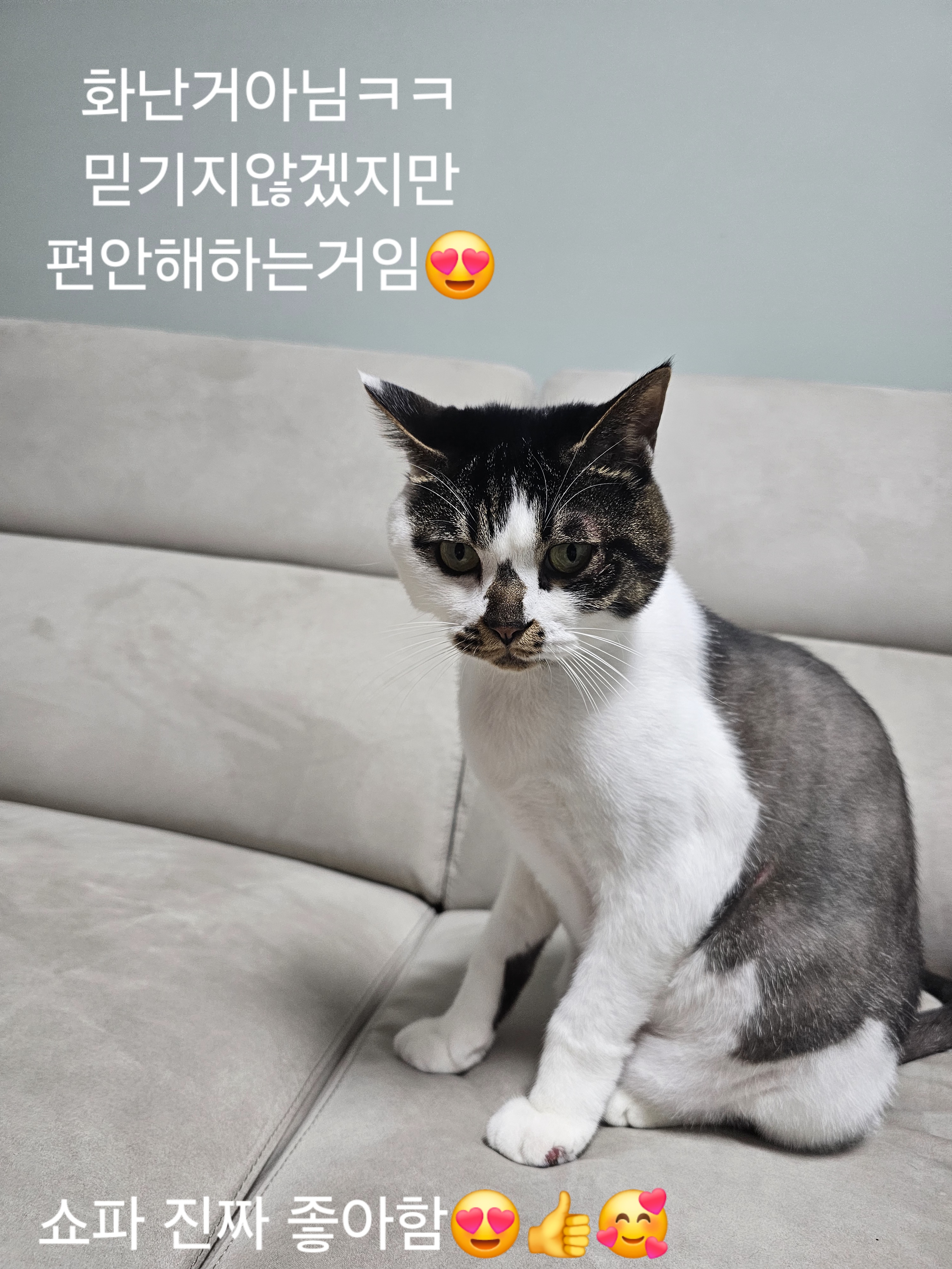 콘텐츠
