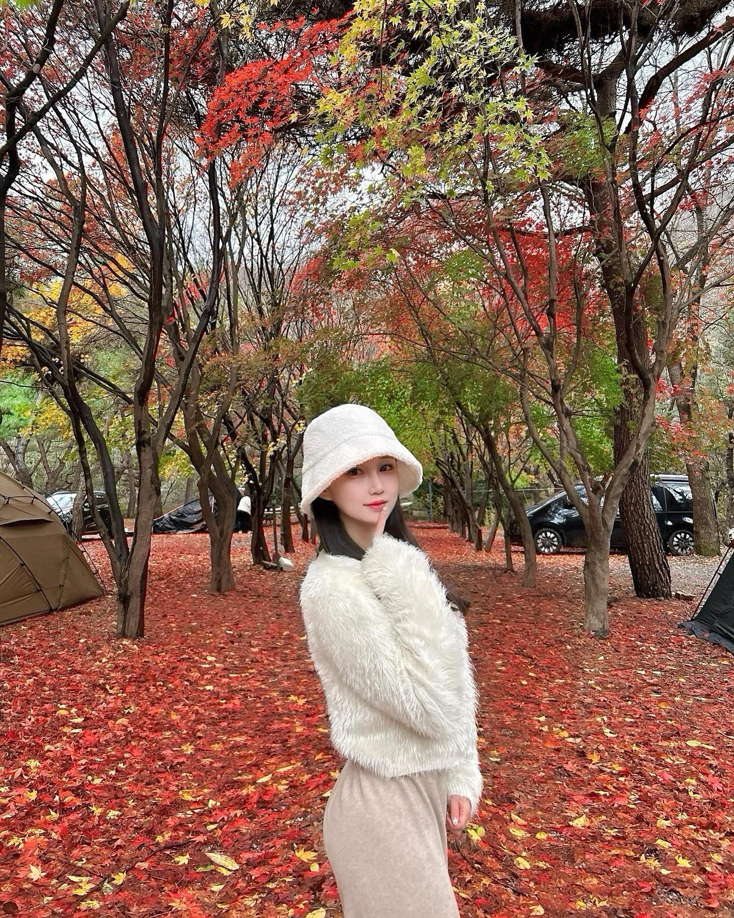 🍁🍂🤎