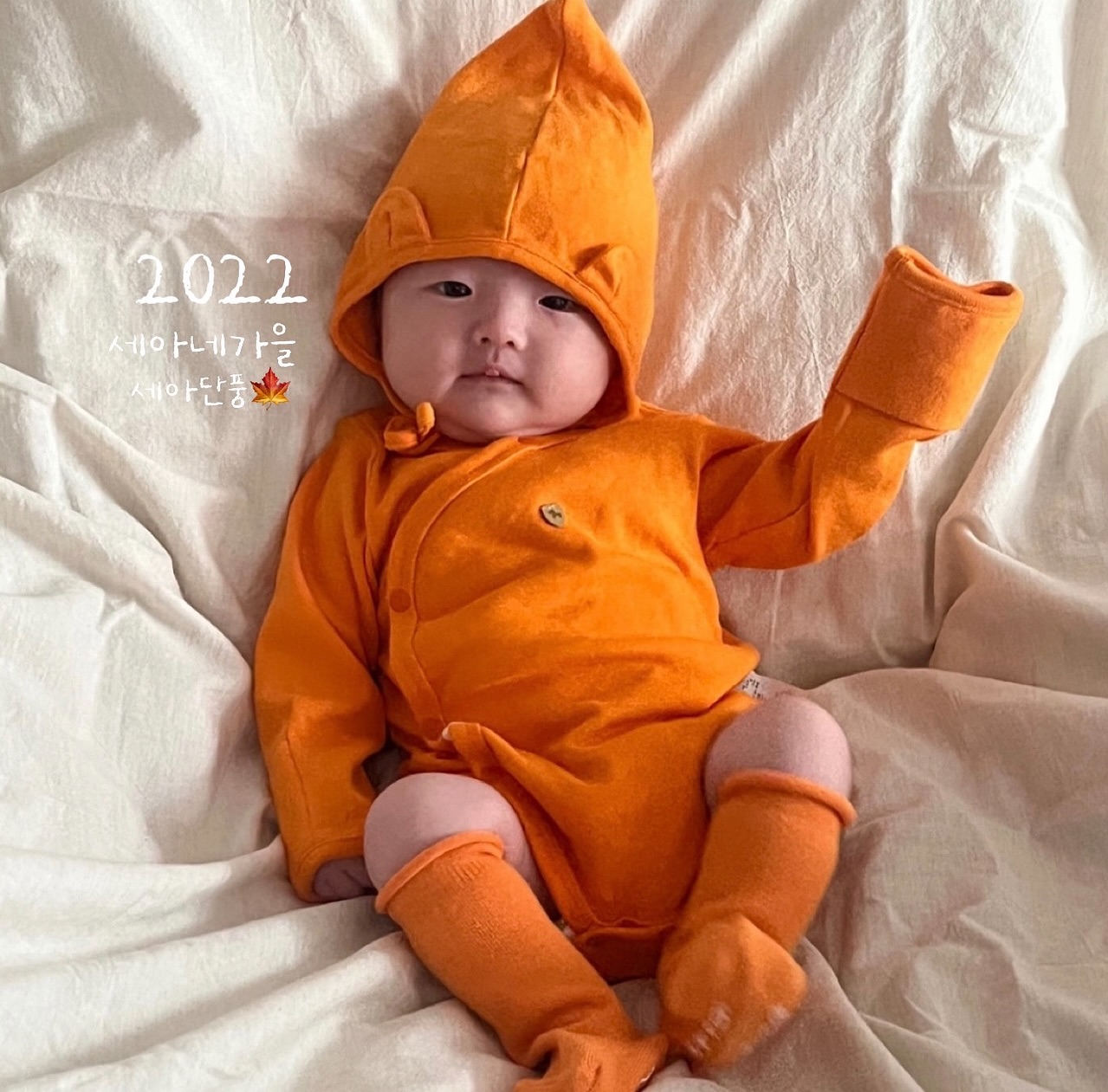 2년전 | 9월 16일 
세아낳고 한달간 눈물파티 끝나고
정신차려보니 낙엽이 다 떨어진 나무들..
그렇게 가을단풍에 집착생긴 단풍사냥러🍁
둘보다 셋이서 노는거 더 즐거와⋆⁺₊⋆