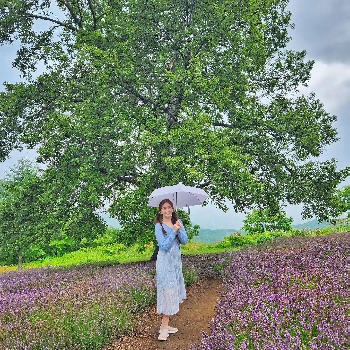 🪻
비 오는 날이라 더 이뻤다!