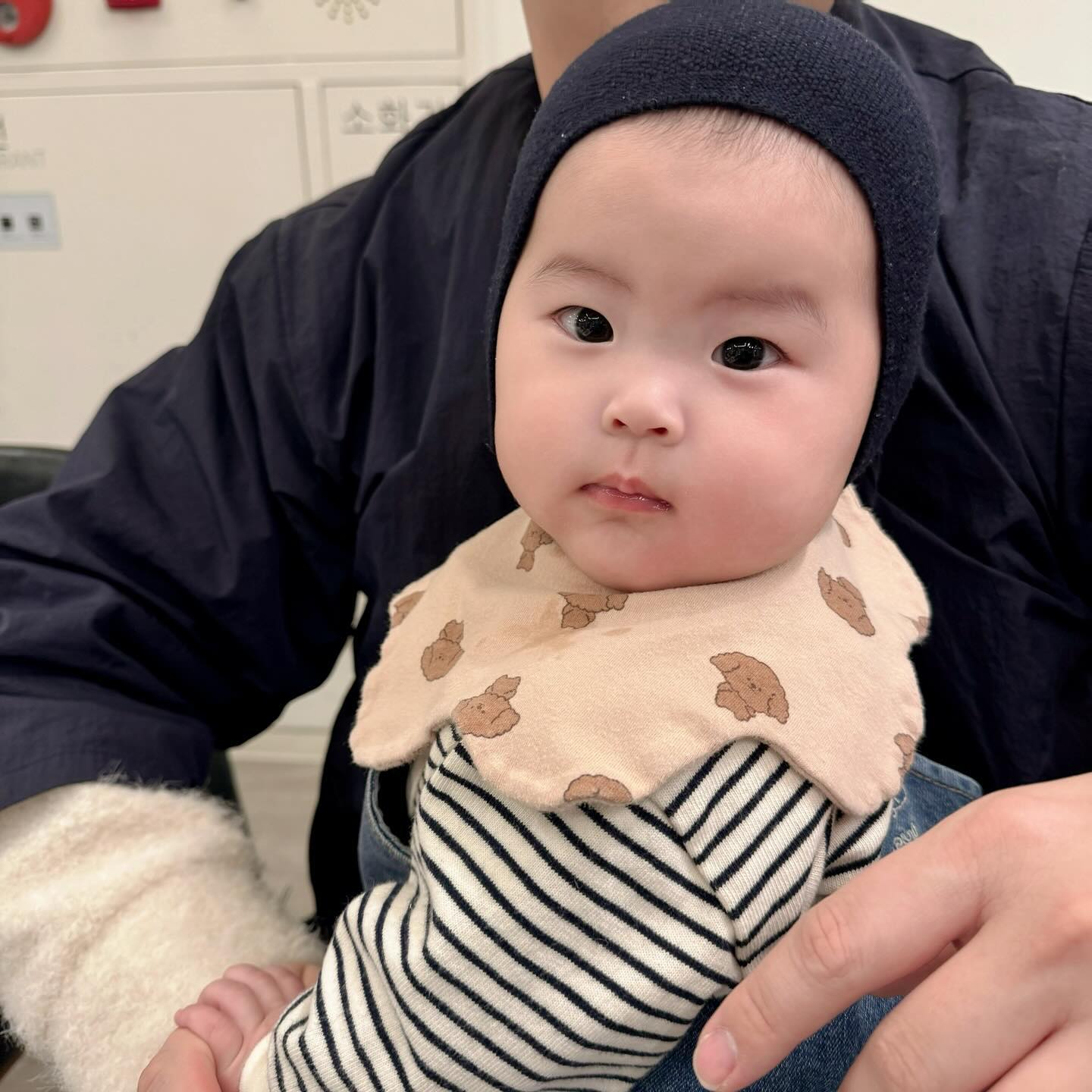 요즘 너무 기여운 내똥강아쥐덜 🐶🫶🏻