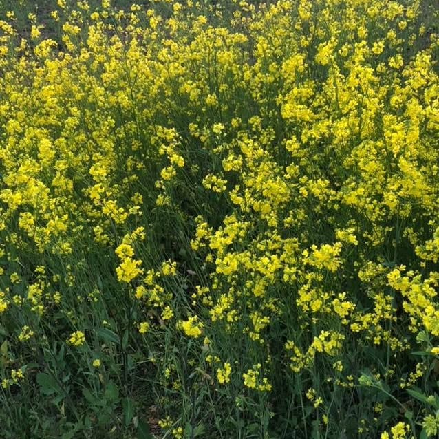 밀린 사진 올리기💦🌻