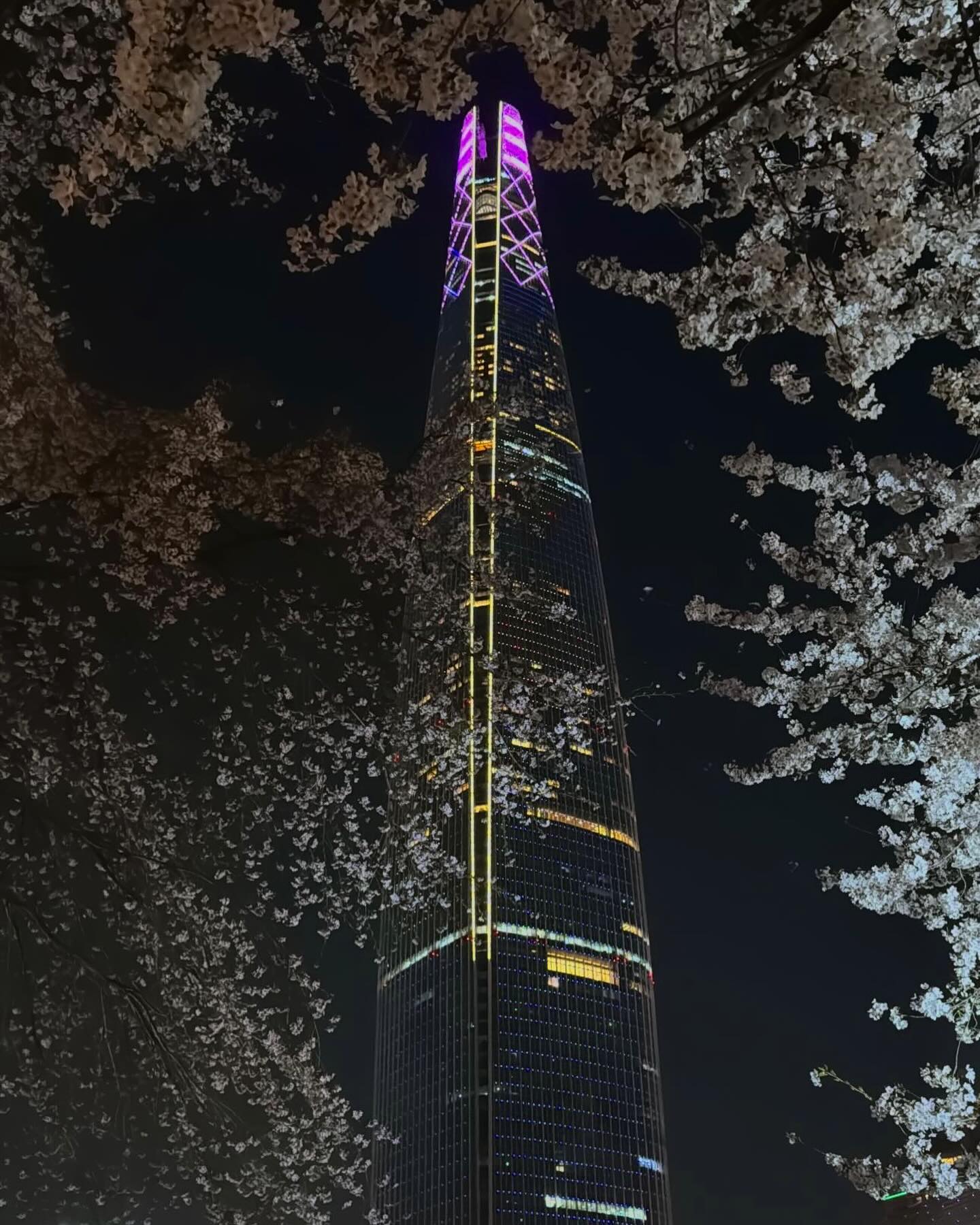 𝐸𝑛𝑑𝑖𝑛𝑔🌸