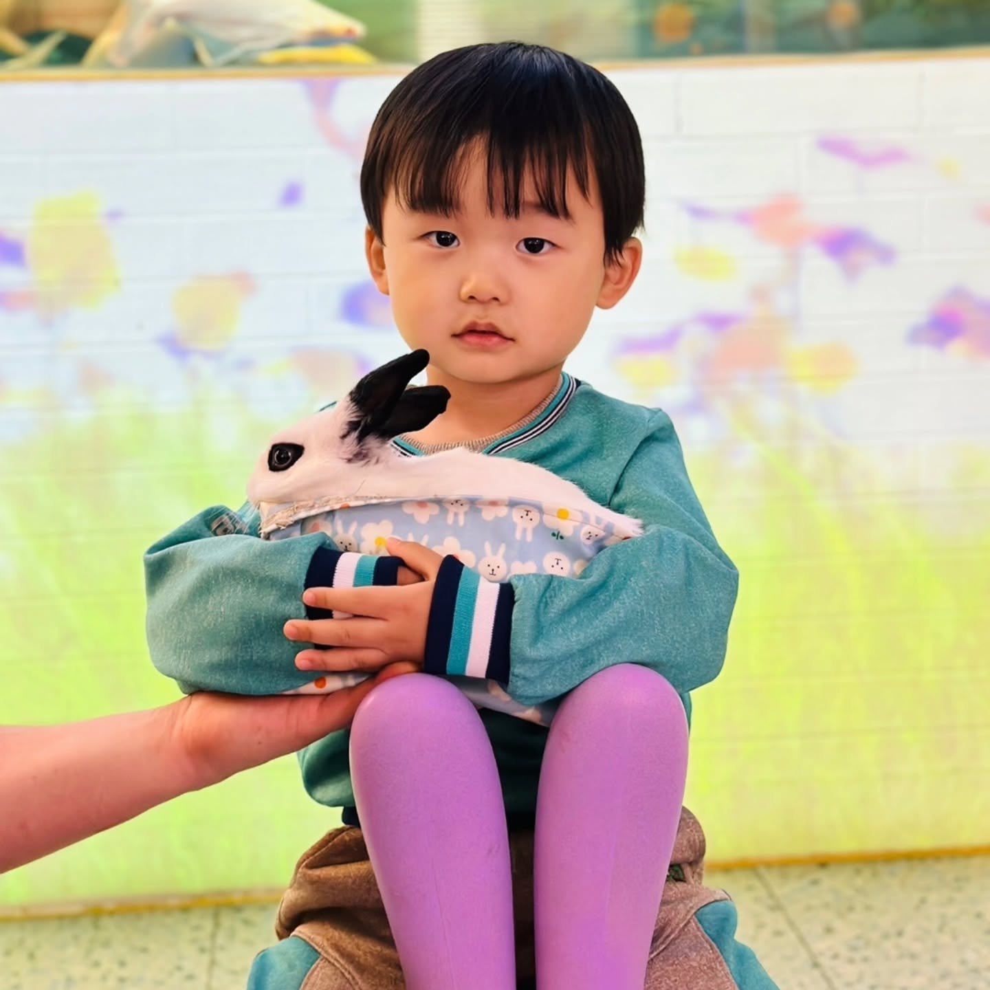 오랜만에 어린이집 사진🫡
동물원에 갔다왔나봐용 마지막 사진이 킬링 포인트🤣