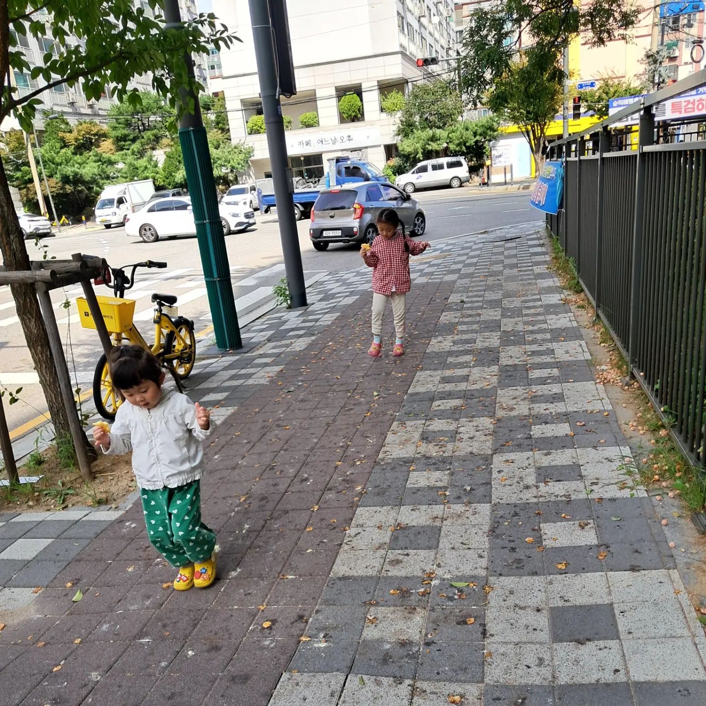 ➕️ 💚 별봄이네 💗

전날 붕어빵 먹고 싶다며 펑펑 운 별이😆
붕어빵 사러 다녀오는 길에 바닥에 떨어져있는 은행,
밟으면 응가 냄새난다고 하니 조심조심 밟지 않으려 
애쓰는 별이 봄이 모습이 그저 귀여울 뿐 🤭💓

#은행응가냄새👃🏻 #별봄이네 #붕어빵귀신👻 #자매일상 #딸둘맘👭 #돼지띠언니 #소띠동생