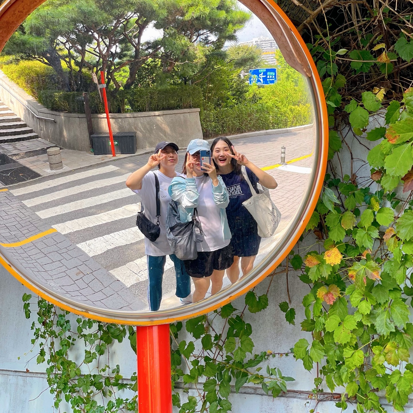 #찍먹등산회

사진 장인 언니들✨🫶🏻
+ 아 케이블카 타고 싶은 마음.. 겨우 눌렀네~~

아무래도 윤미언니가 우리들에게 거는 기대가 점점 작아지는 것 같다😄 아주 딱 좋아!!! 

내일 서해랑길 화이팅•••❣️