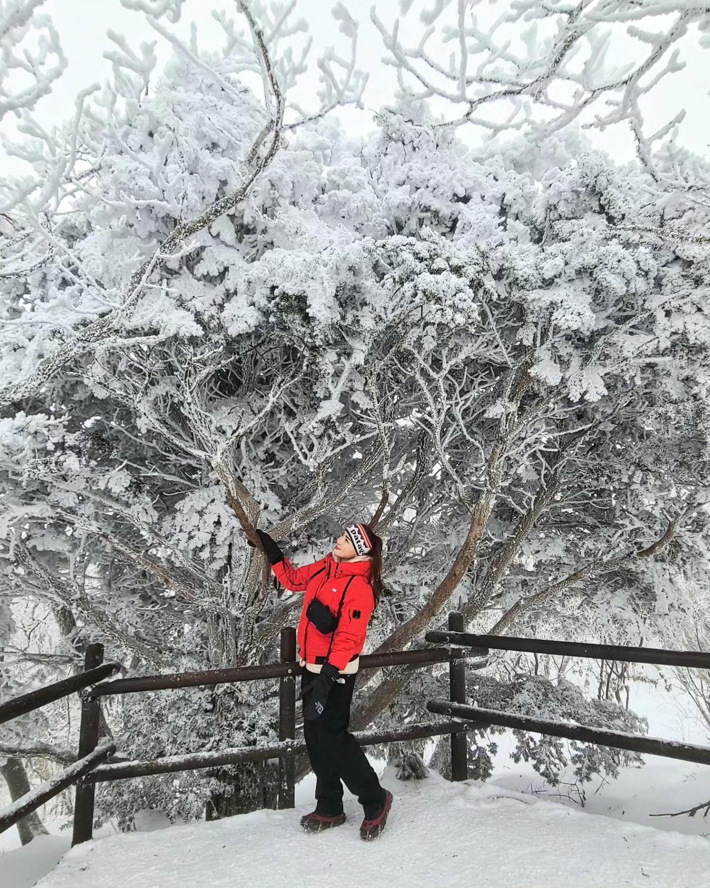 .

아름다운 설경을 눈에 담아도 모자라
사진을 넘치게 찍었지만

아직도 못 헤어 나오는 중 

너무 아름 다웠던 덕유🤍

#덕유산 #덕유산국립공원 #덕유산향적봉 #상고대 
#겨울산행 #겨울왕국 #등린이 #등산 #등산스타그램 
#등산복패션 #취미 #일상  #오등완 #산타는여자 #설산