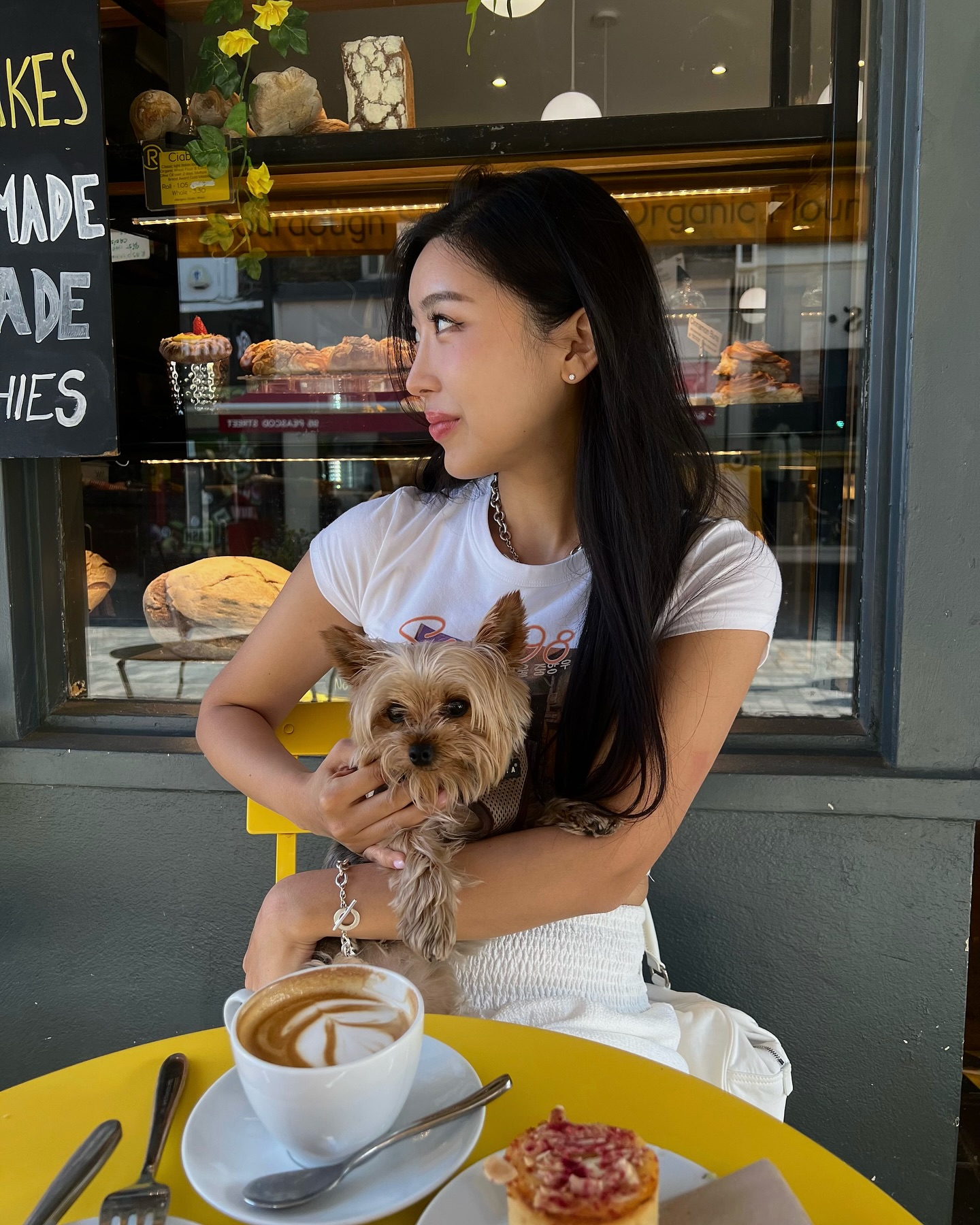 Teddy 💛 (not my dog)