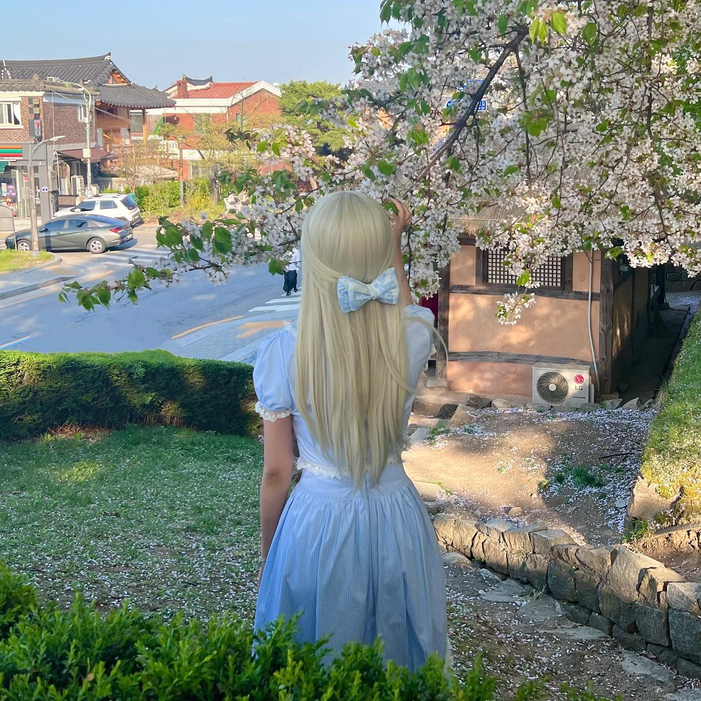 중간에 레전드짤 등댱❗️