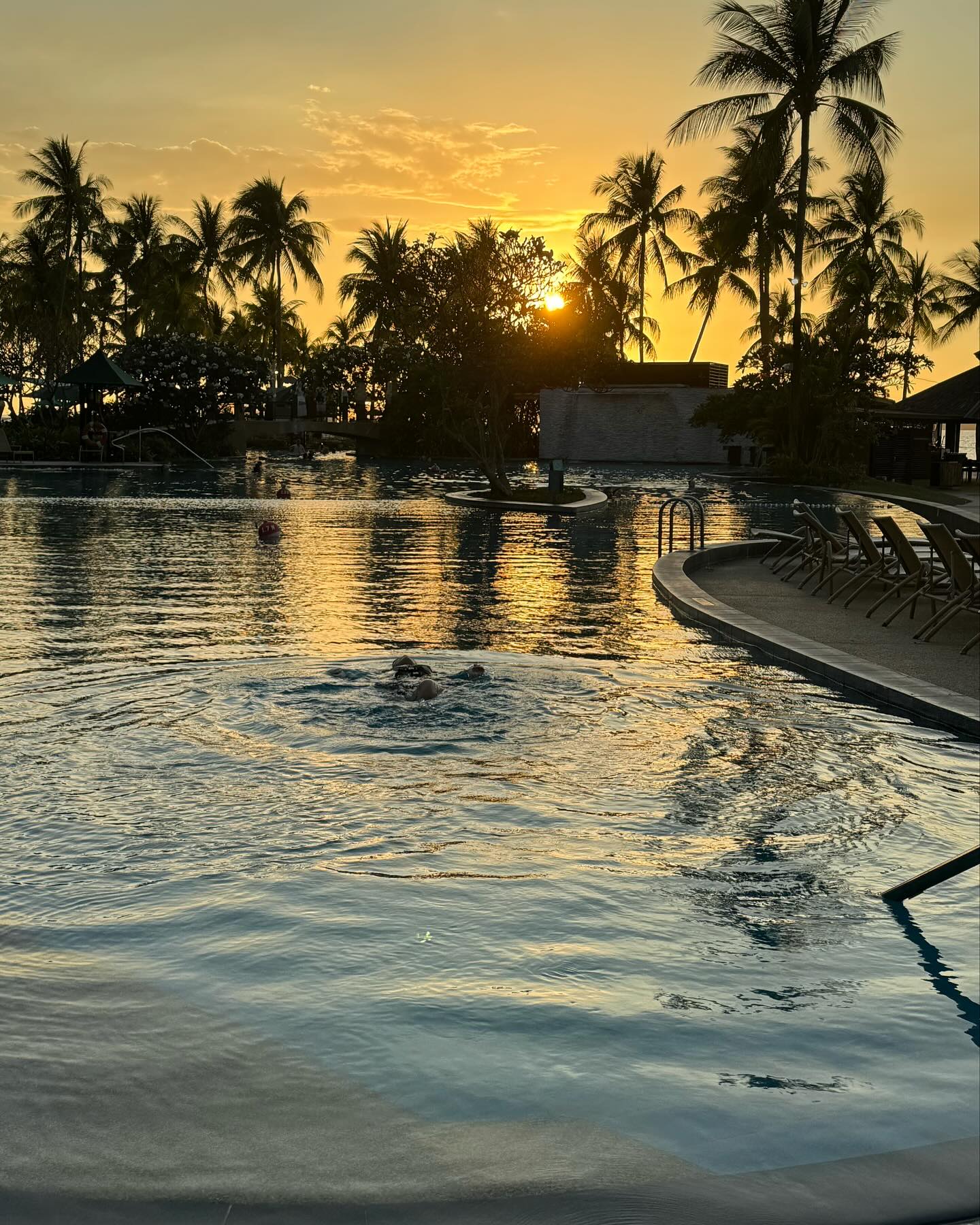 🌅조았따,,,💥
