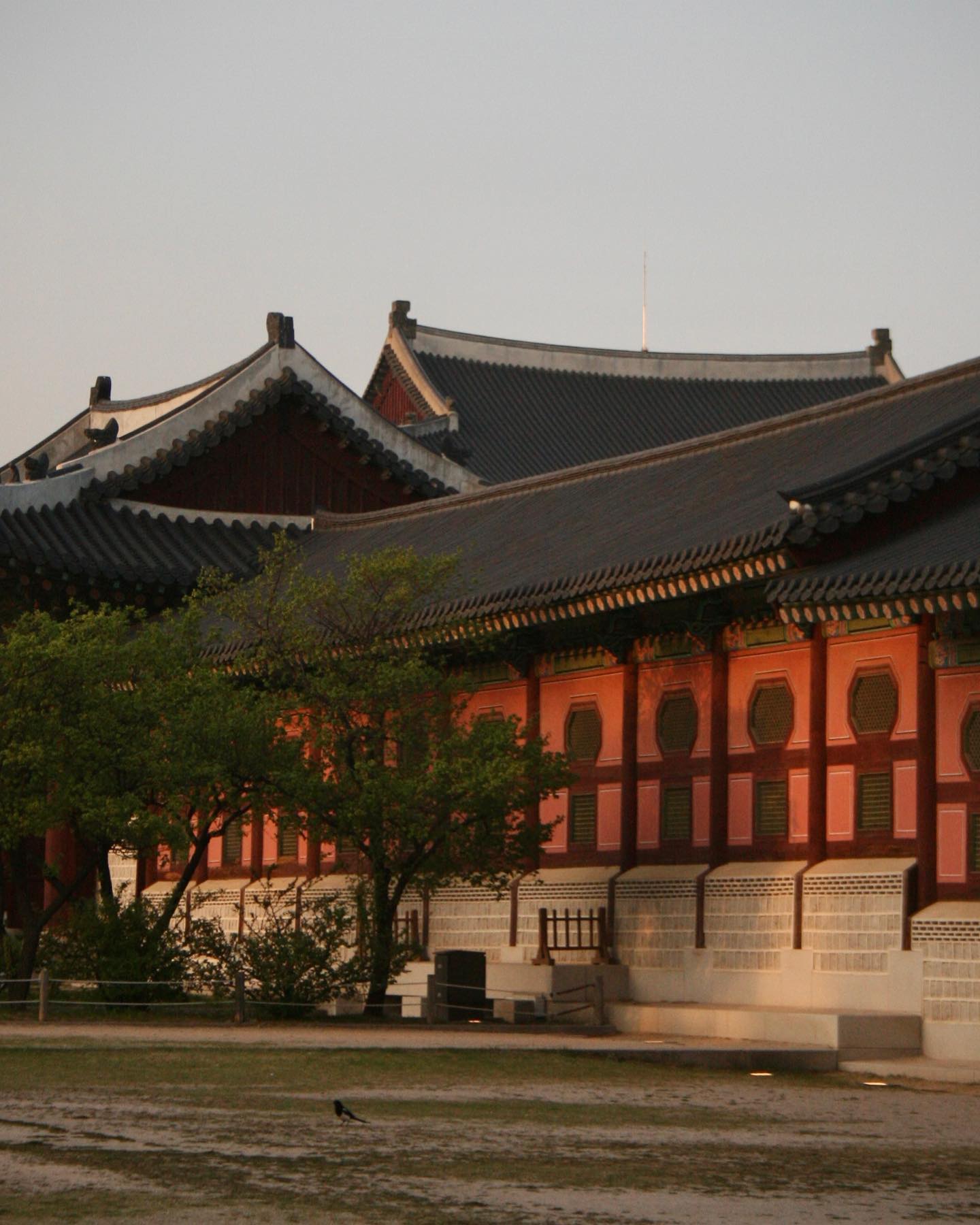 검초빨