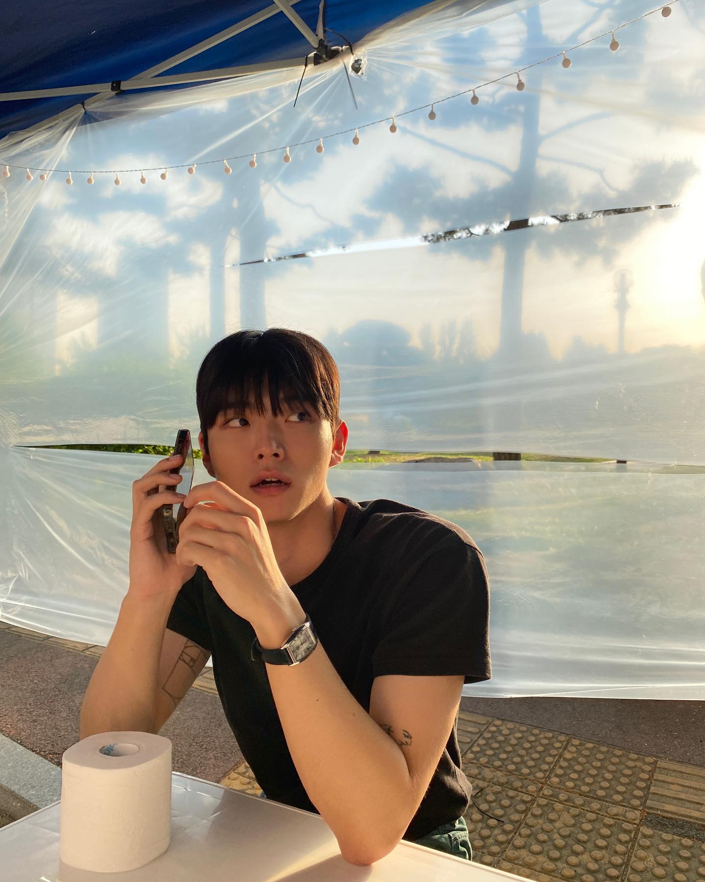 녹색지대🦠