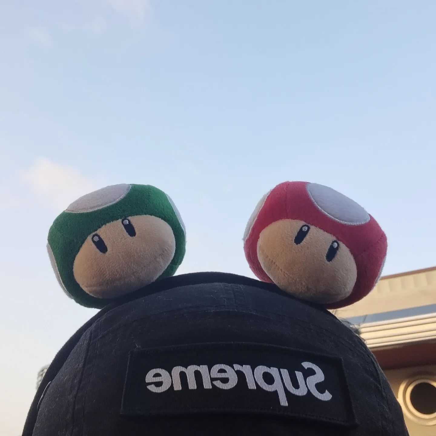 #오늘아님

동심 찾기 성공 성공 대성공🍄

#오사카 #도톤보리 #유니버셜 #슈퍼마리오 #미니언즈