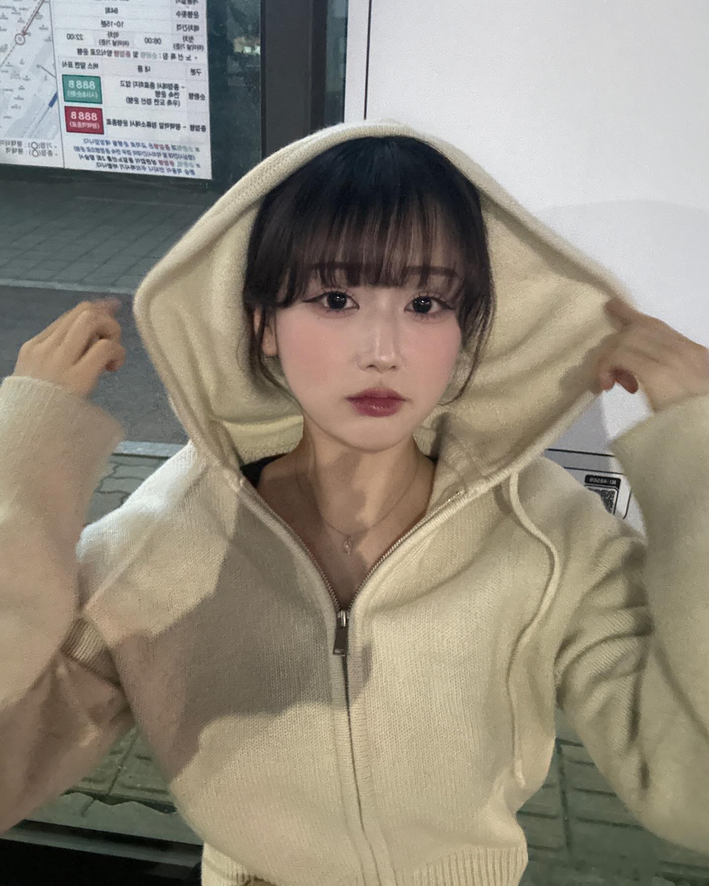 꽁🥶꽁🥶얼어붙은 한강 위로 🐈🐈‍⬛🐈 가 걸어다닙니다!-!