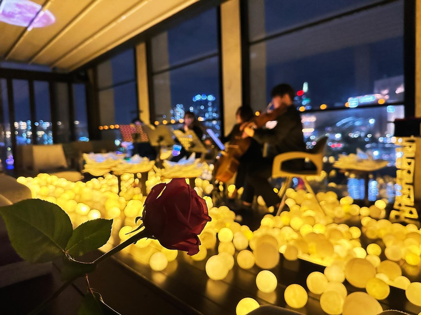 빛나는 달빛 속에서 듣는 몽환적인 클래식🎻
마음도 머릿속도 차분해져서 좋았던 콘서트😌
#해운대데이트 #예쁜데이트 the_luna_concert cafe_afternoontea